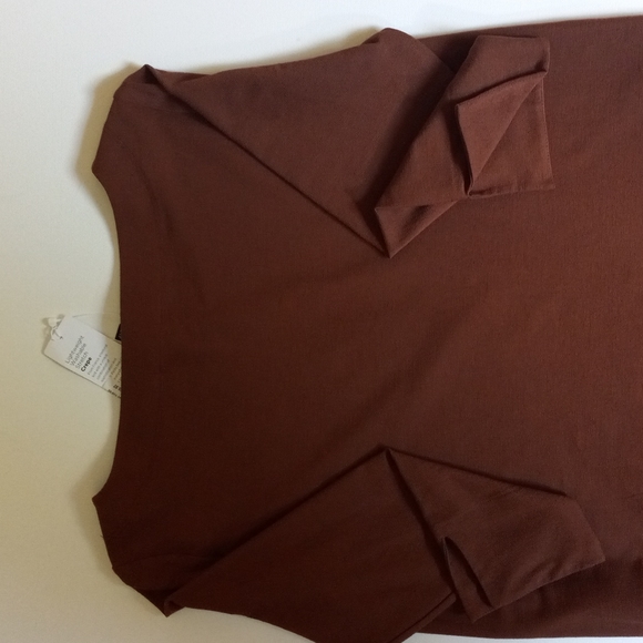 EILEEN FISHER Tunic Top Crepe Knit Cinnamon Rust - Picture 3 of 8